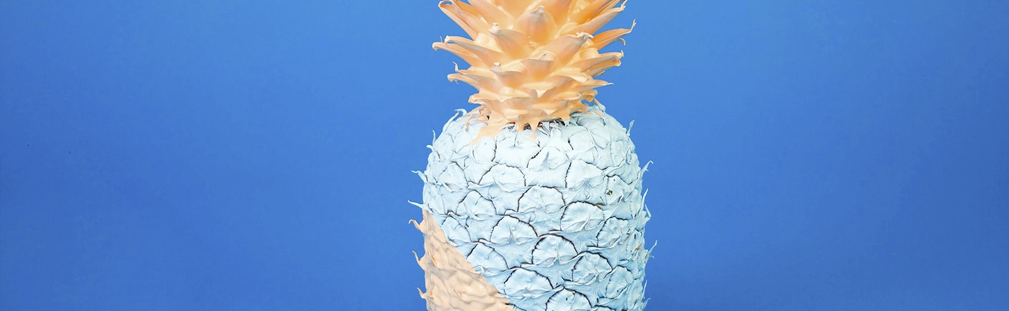 8 главных вопросов новичков о пиаре — отвечает PR-директор Nectarin