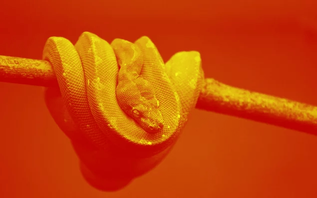 Data Science-дайджест №8: главные статьи месяца