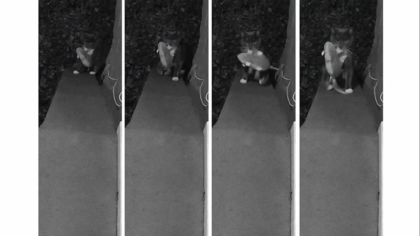 Data Science-дайджест №8: главные статьи месяца