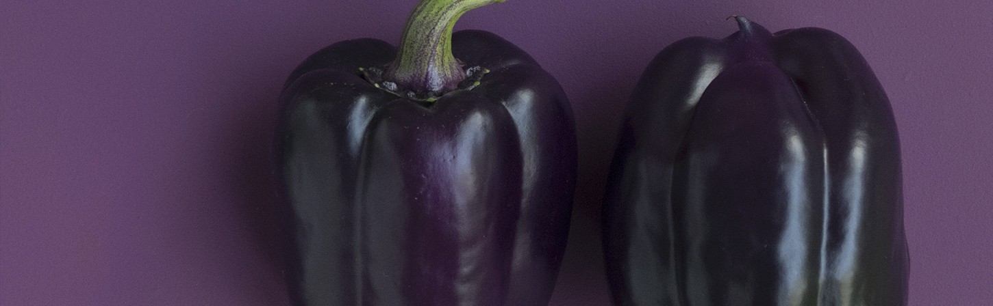 Figma или Sketch? Опыт дизайнеров компании AIC