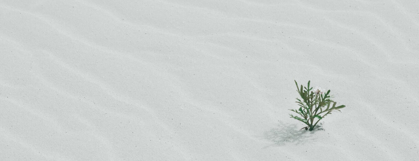 Как развиваться в профессии: советы от эксперта по карьерному консультированию