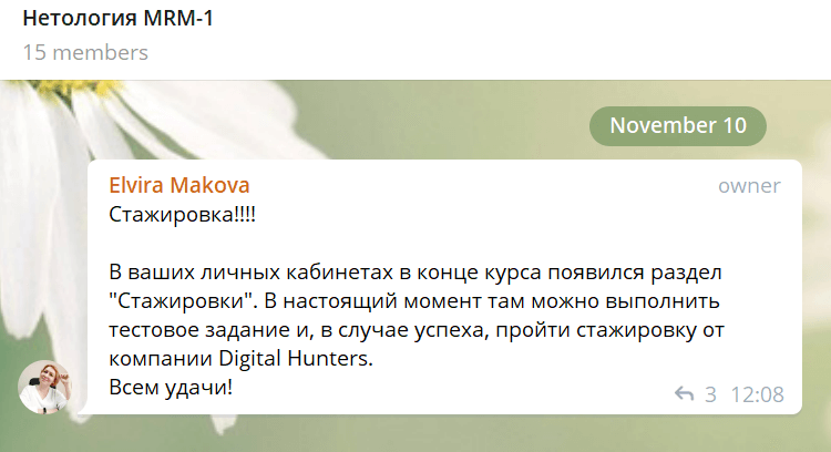 Стажировки выпускников Нетологии: интернет-маркетолог Анна Базанова и Digital Hunters