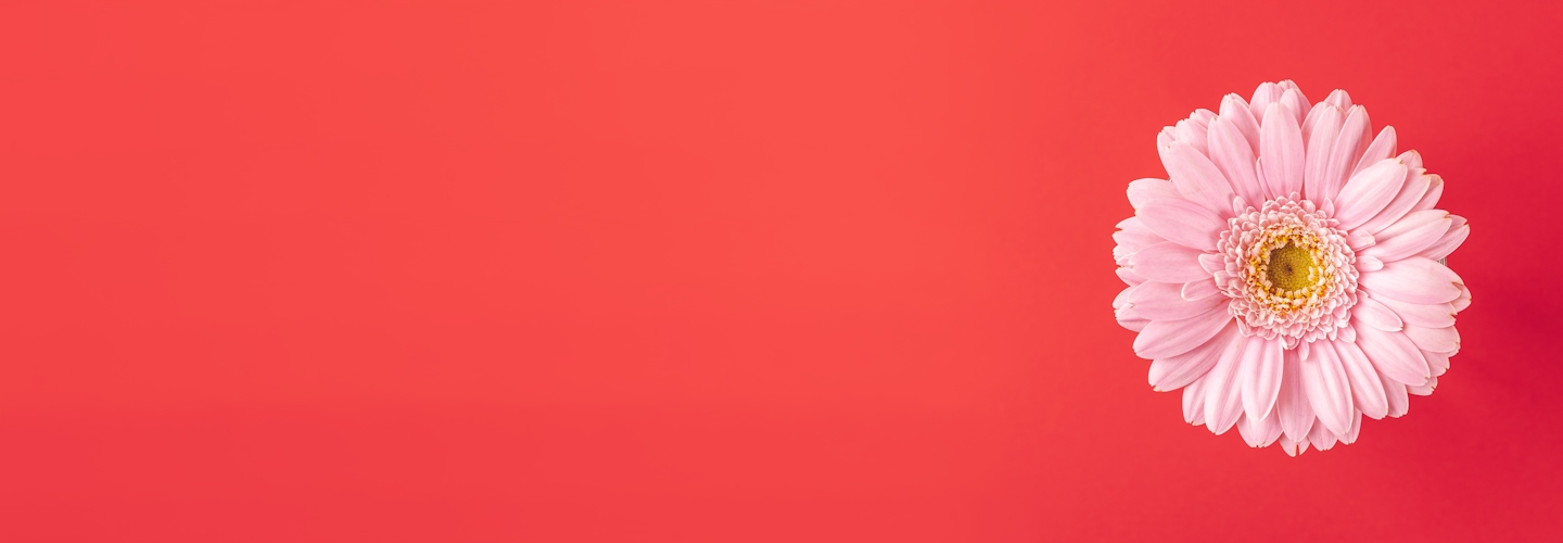 Как проверить товарный знак перед регистрацией: сервисы и нюансы