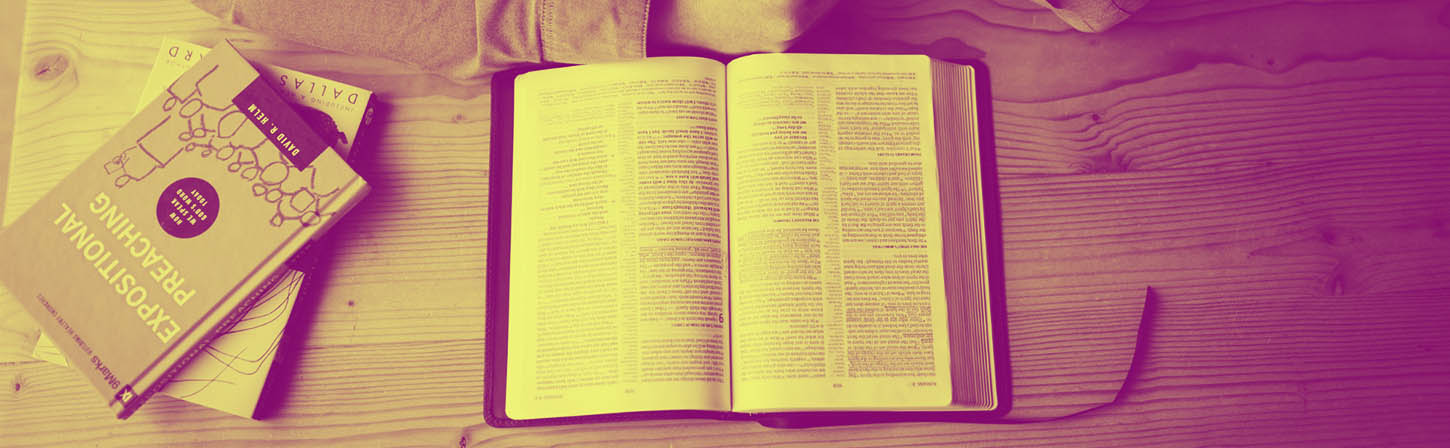 Обучение за счёт работодателя: как аргументировать и зачем это самим компаниям