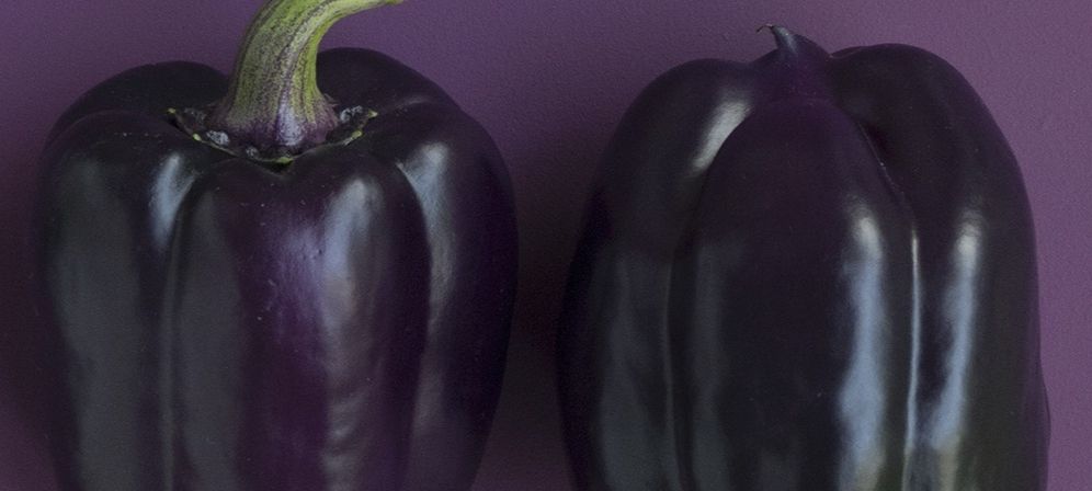 100 лет фотобанков: как выбрать изображение в 2020 году