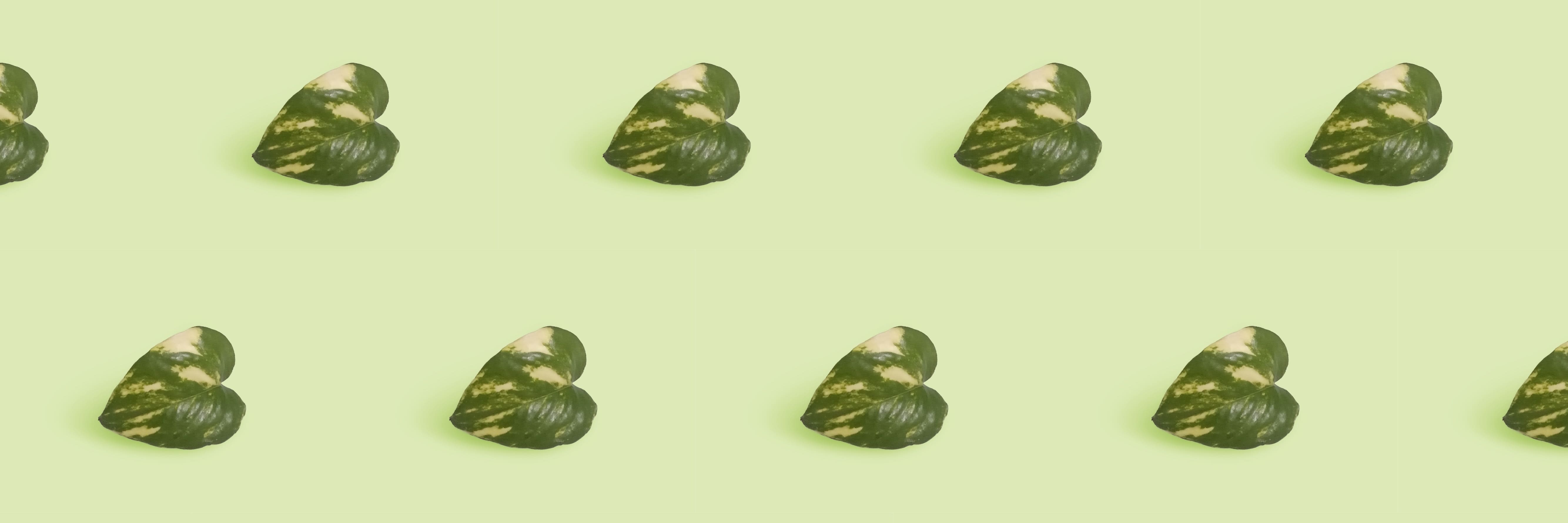 Кто такой трафик-менеджер и как им стать