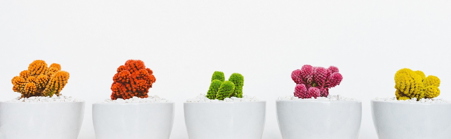 Чего хотят женщины или Как рекламодателям использовать любовь девушек к мобильным играм