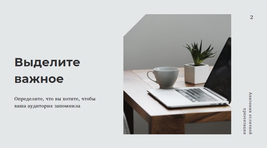 Видеоконференция: как подготовиться и выбрать оборудование и сервисы