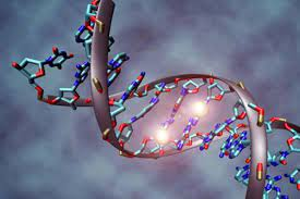 Как убедиться, что перед вами хороший текст: чеклист от редактора