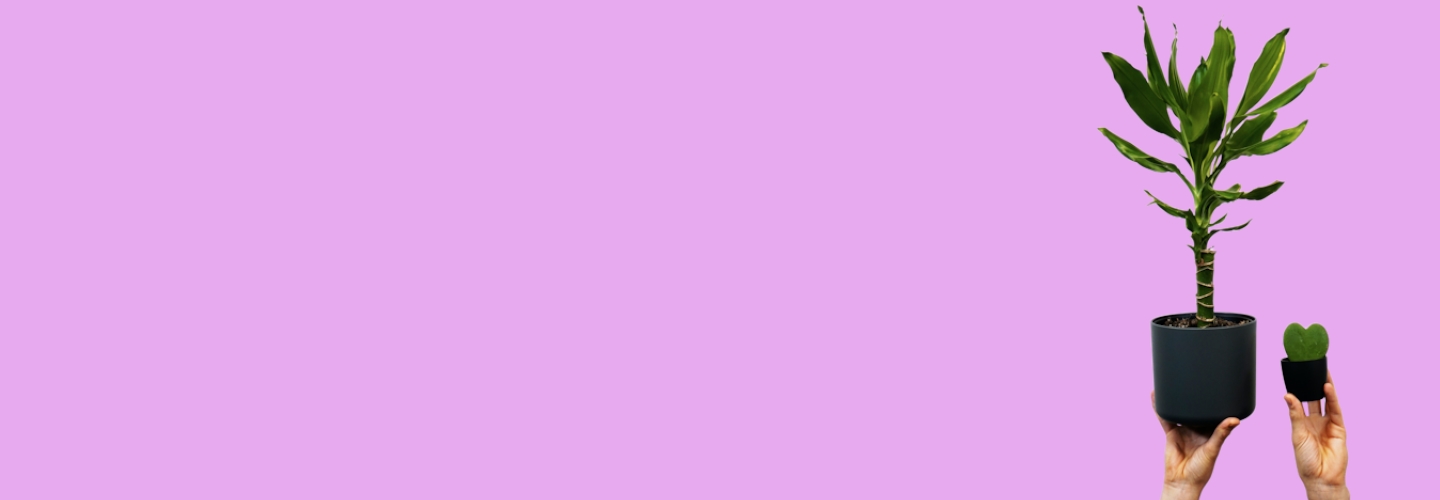 Как Нетология поддерживает экспертов и почему это важно