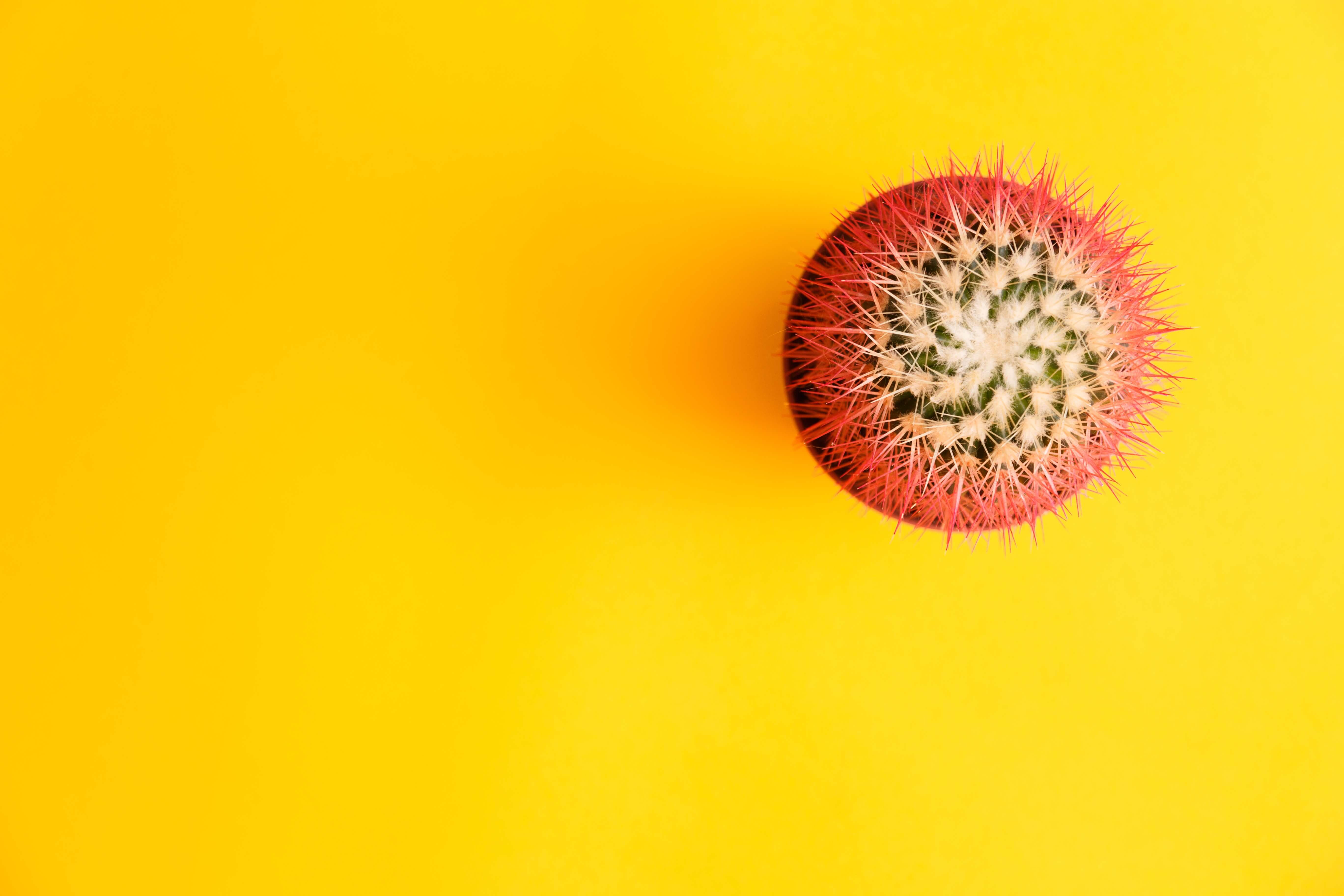 Зачем бизнесу анализировать социальные медиа