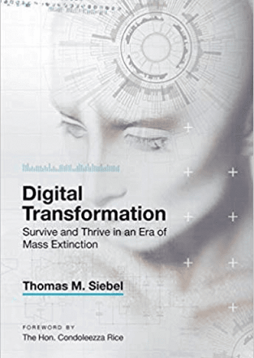 Как стать digital-стратегом: опыт Саши Лаковниковой