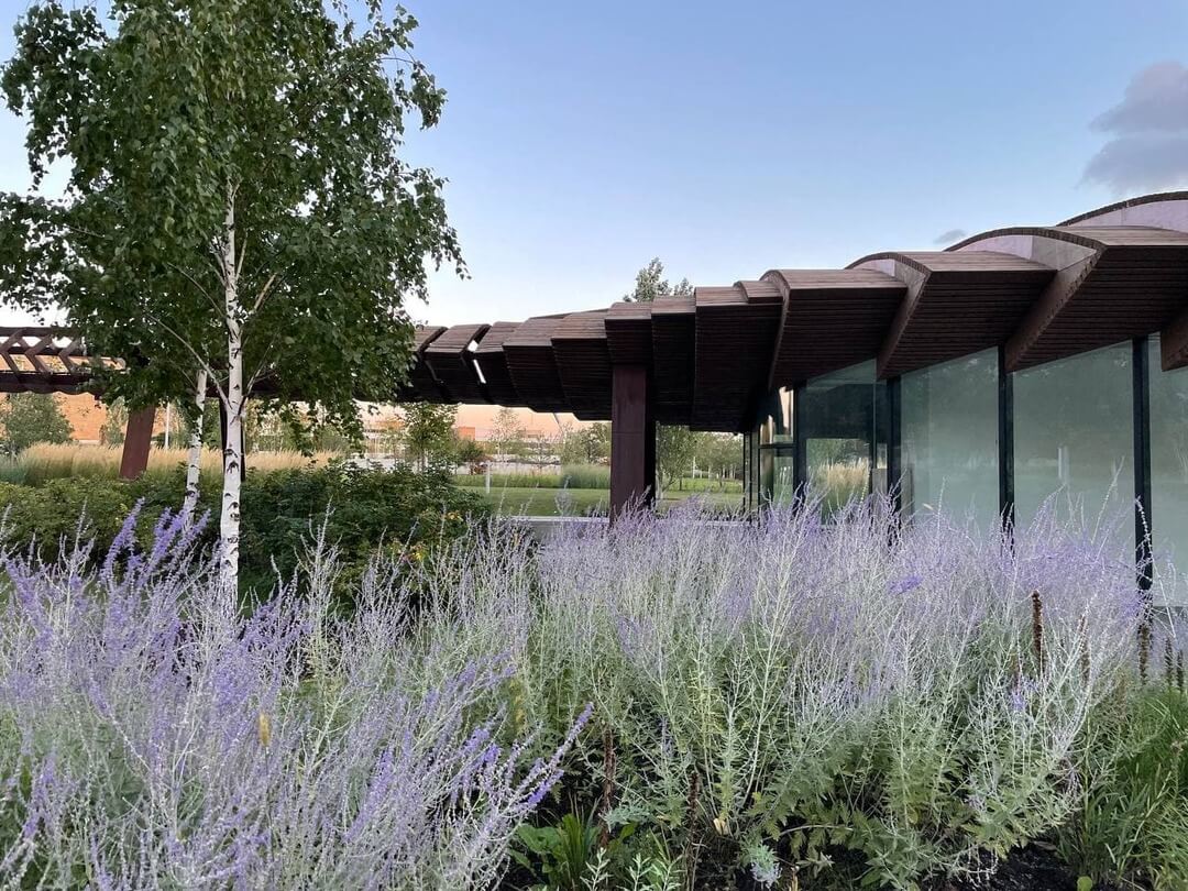 Кто такой ландшафтный дизайнер и чем он занимается