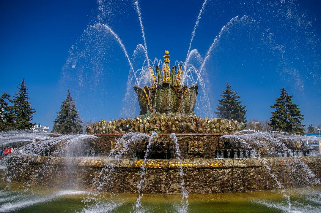 Кто такой ландшафтный дизайнер и чем он занимается