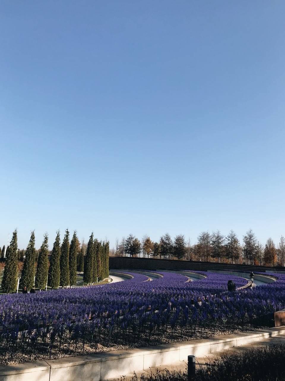 Кто такой ландшафтный дизайнер и чем он занимается