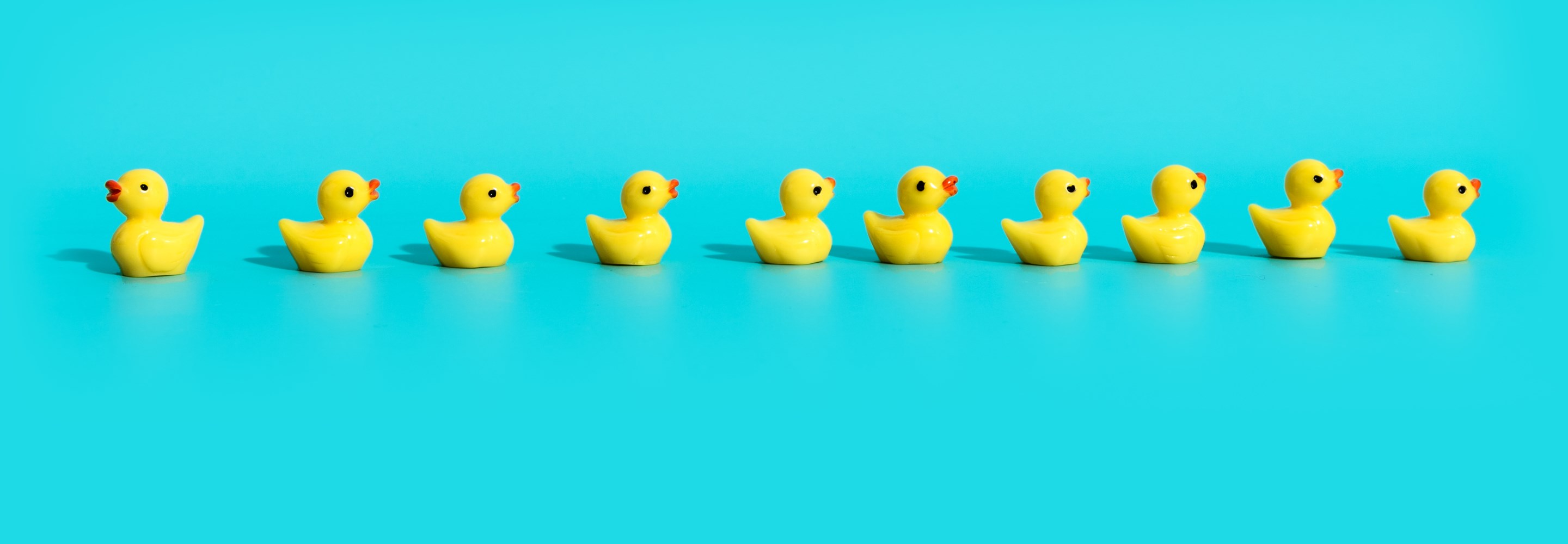 Как начинающему специалисту найти первую работу