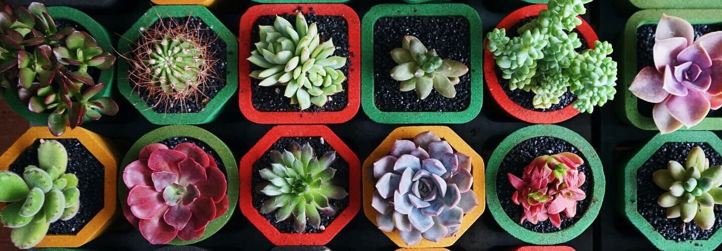 10 инструментов для тех, кто хочет работать в диджитале