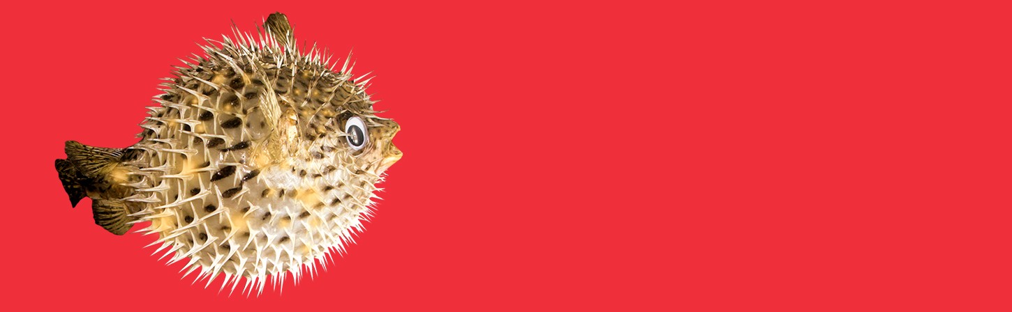 10 ошибок начинающего верстальщика и как их избежать