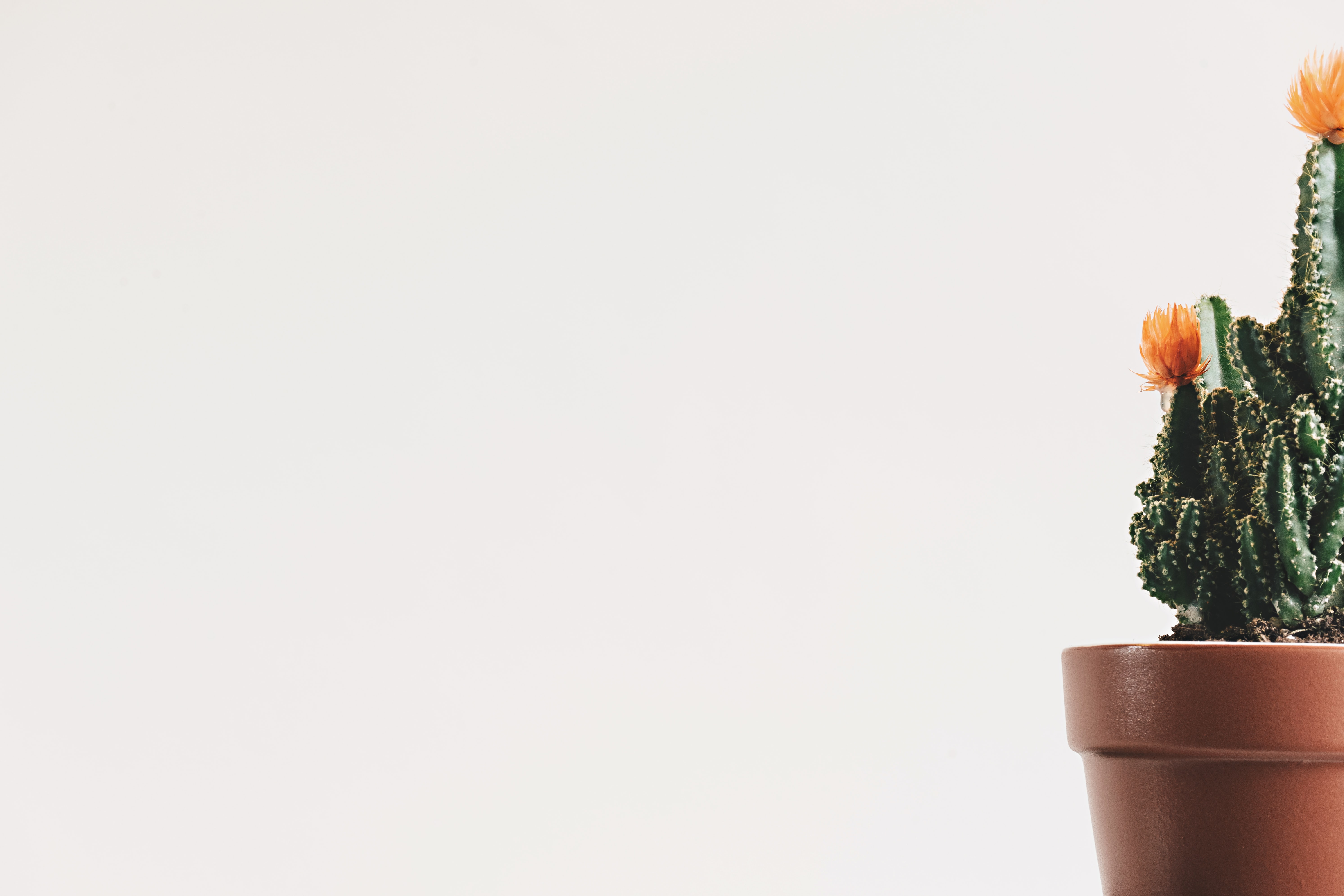 Использование автостратегии Яндекс.Директа в кризис: опыт компании Apriori Marketing