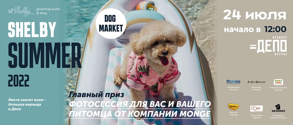 Кросс-маркетинг: как сократить расходы на продвижение и увеличить аудиторию