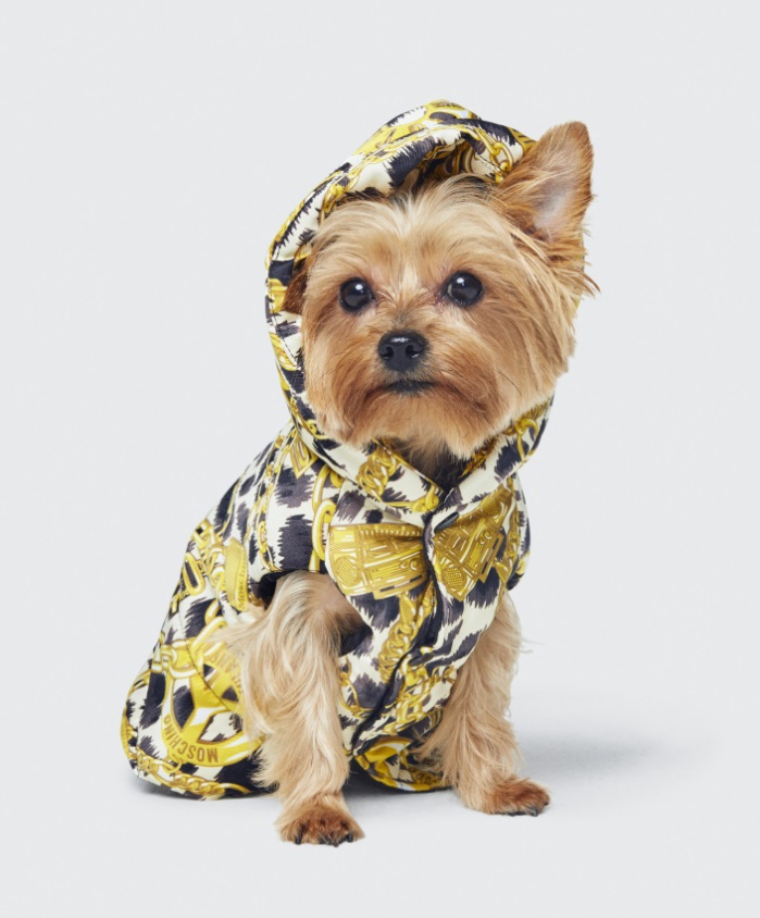 Кросс-маркетинг: как сократить расходы на продвижение и увеличить аудиторию