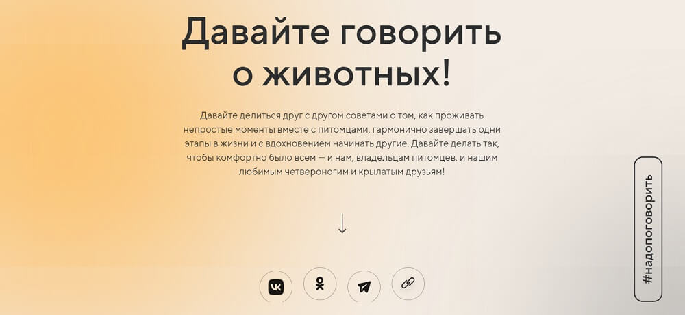 Спецпроекты брендов: сколько стоят, как реализовать, продвигать и оценивать