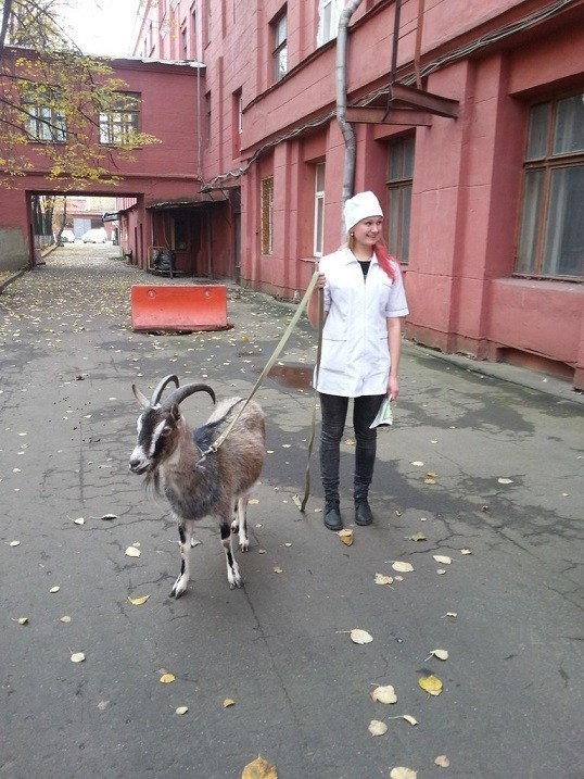 «Встал вопрос о поиске той работы, которая станет делом всей жизни» — выпускница Нетологии о том, как столкнулась с выгоранием и сменила профессию