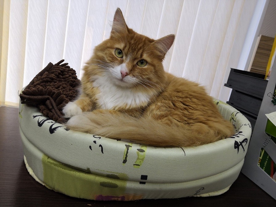 «Встал вопрос о поиске той работы, которая станет делом всей жизни» — выпускница Нетологии о том, как столкнулась с выгоранием и сменила профессию