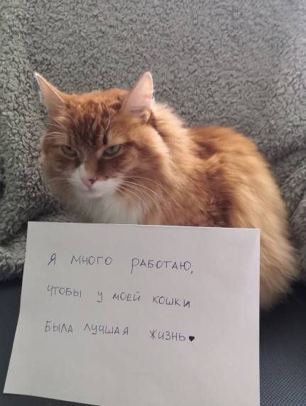 «Встал вопрос о поиске той работы, которая станет делом всей жизни» — выпускница Нетологии о том, как столкнулась с выгоранием и сменила профессию