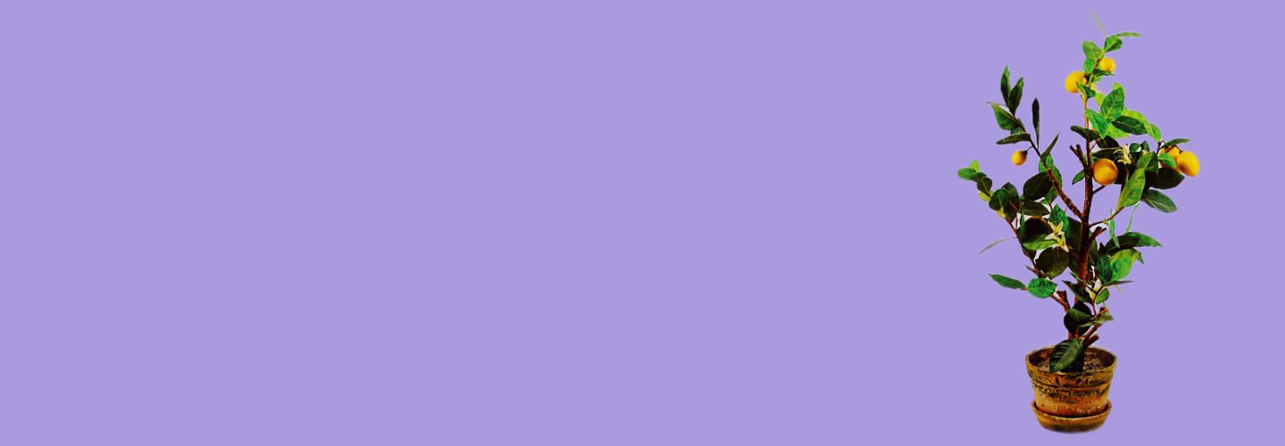 Как учиться во взрослом возрасте, почему это важно и не поздно