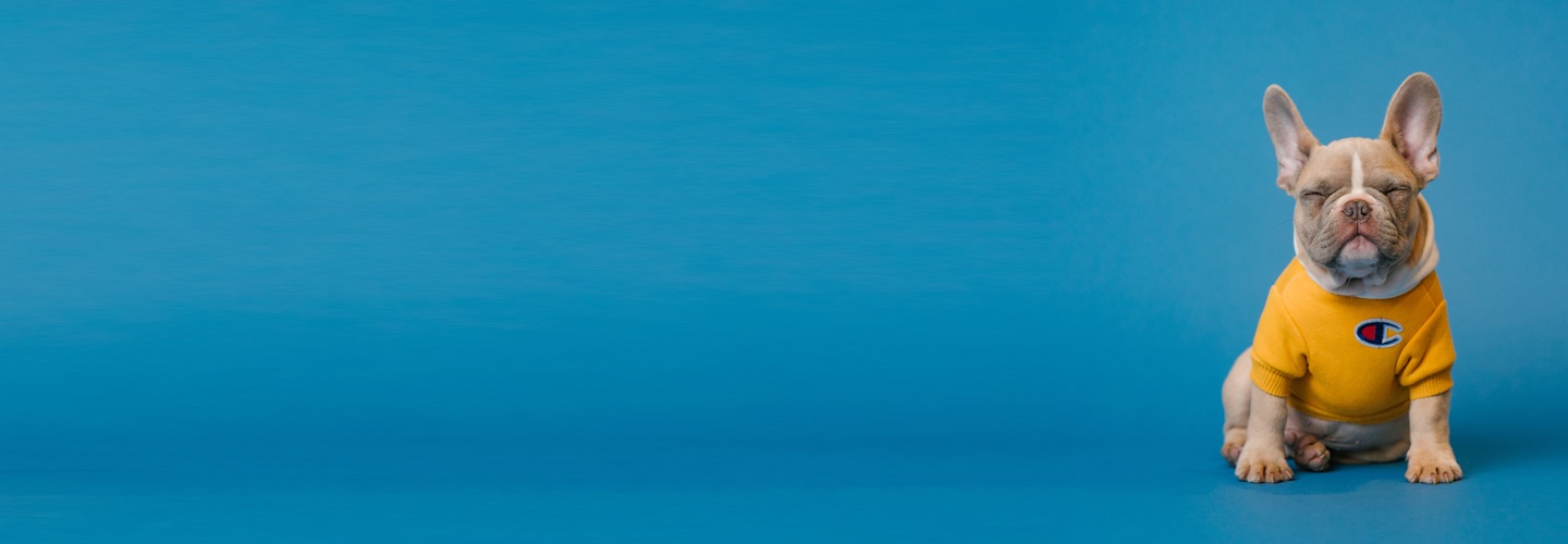 Как правильно отдыхать — учимся восстанавливаться