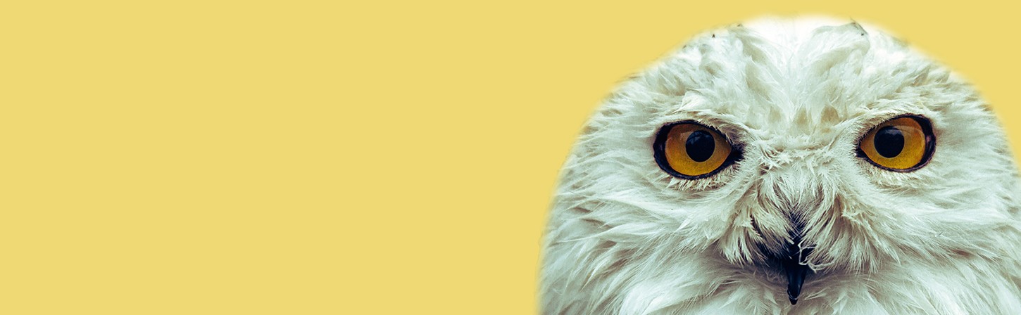 12 максимально практических книг по маркетингу