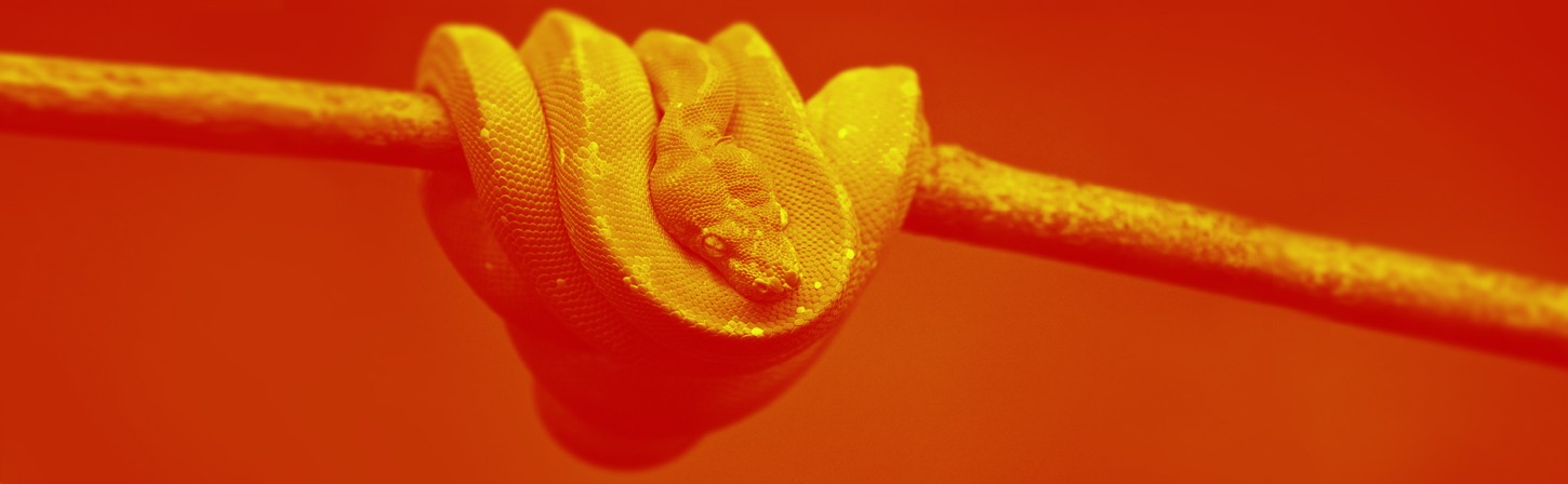 Как перейти в Machine learning, если знаешь Python