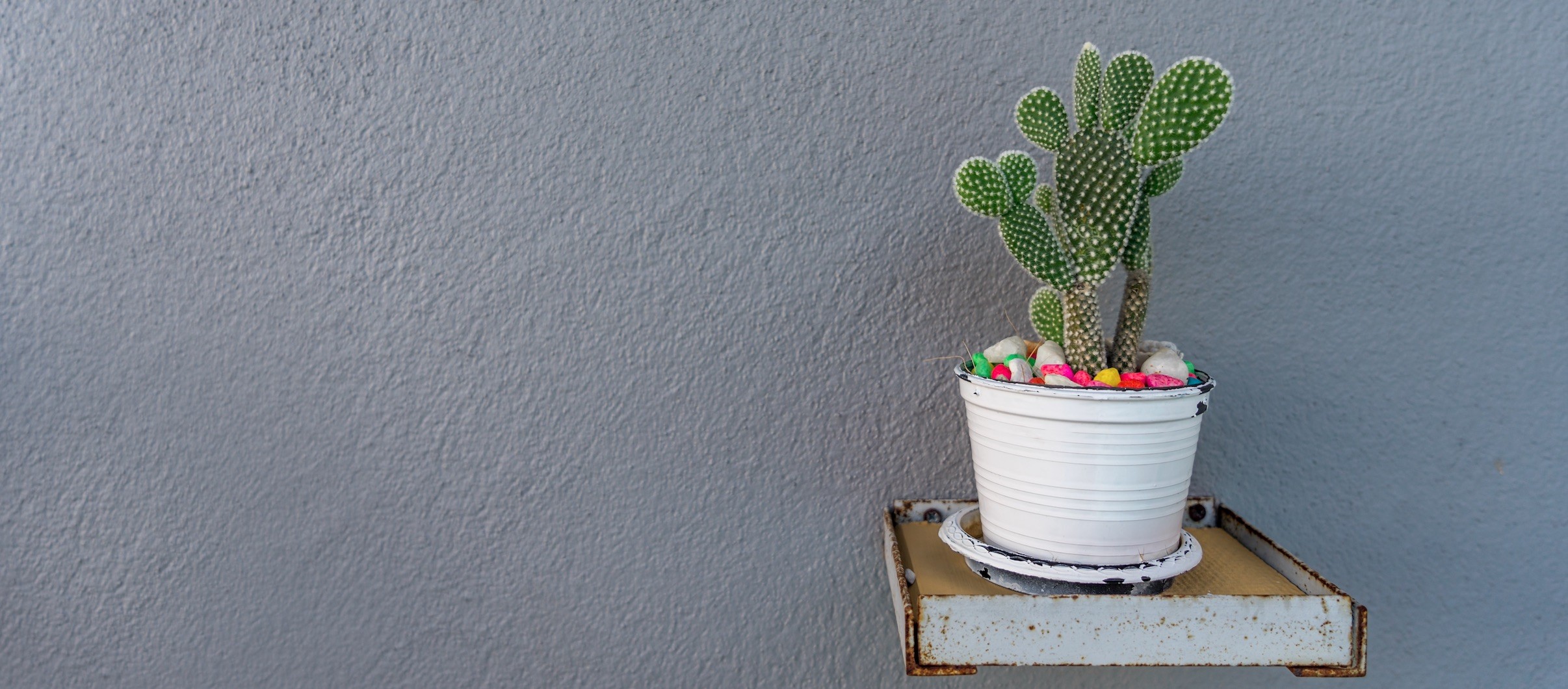 6 советов, которые помогут справиться с тревожностью во время карантина