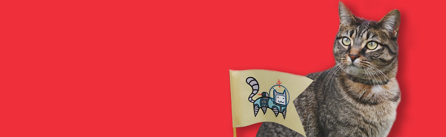 8 навыков, необходимых в профессии Data Scientist