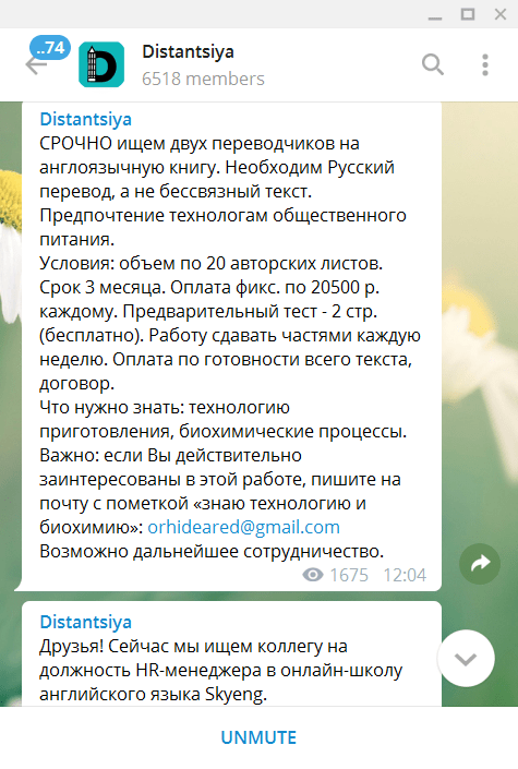 Лучшие Телеграм-каналы с вакансиями: подборка «Антирабства»