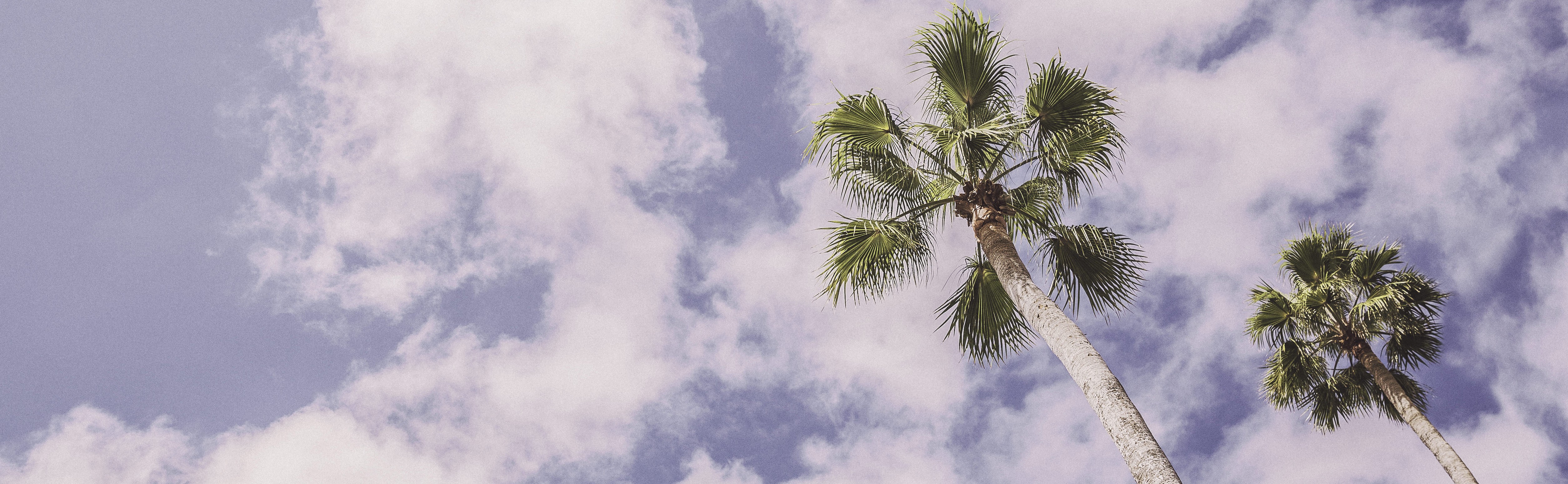 Как упростить себе жизнь, продвигая компанию в СМИ