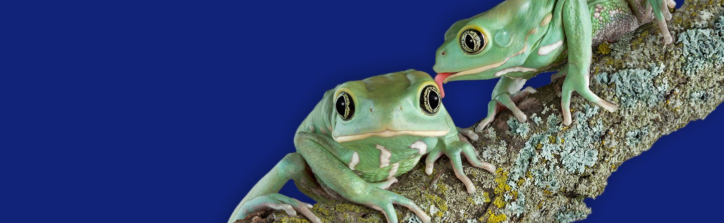 Между нами «химия»: как найти подрядчика для разработки приложения и не пожалеть об этом