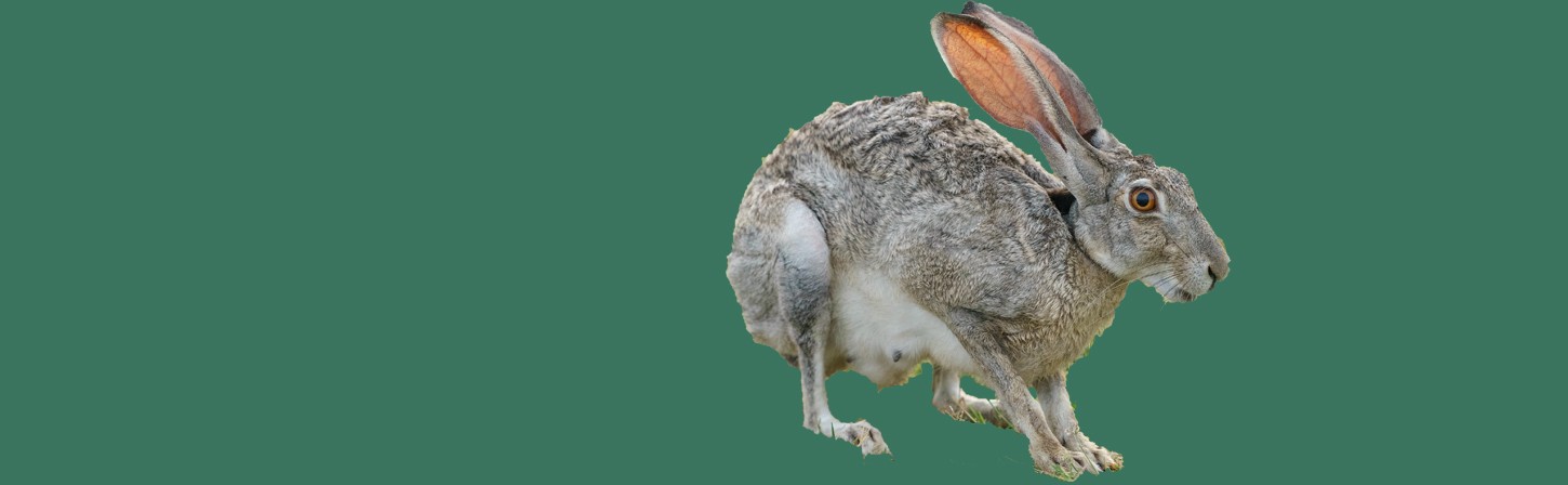Каких клиентов лучше избегать копирайтеру