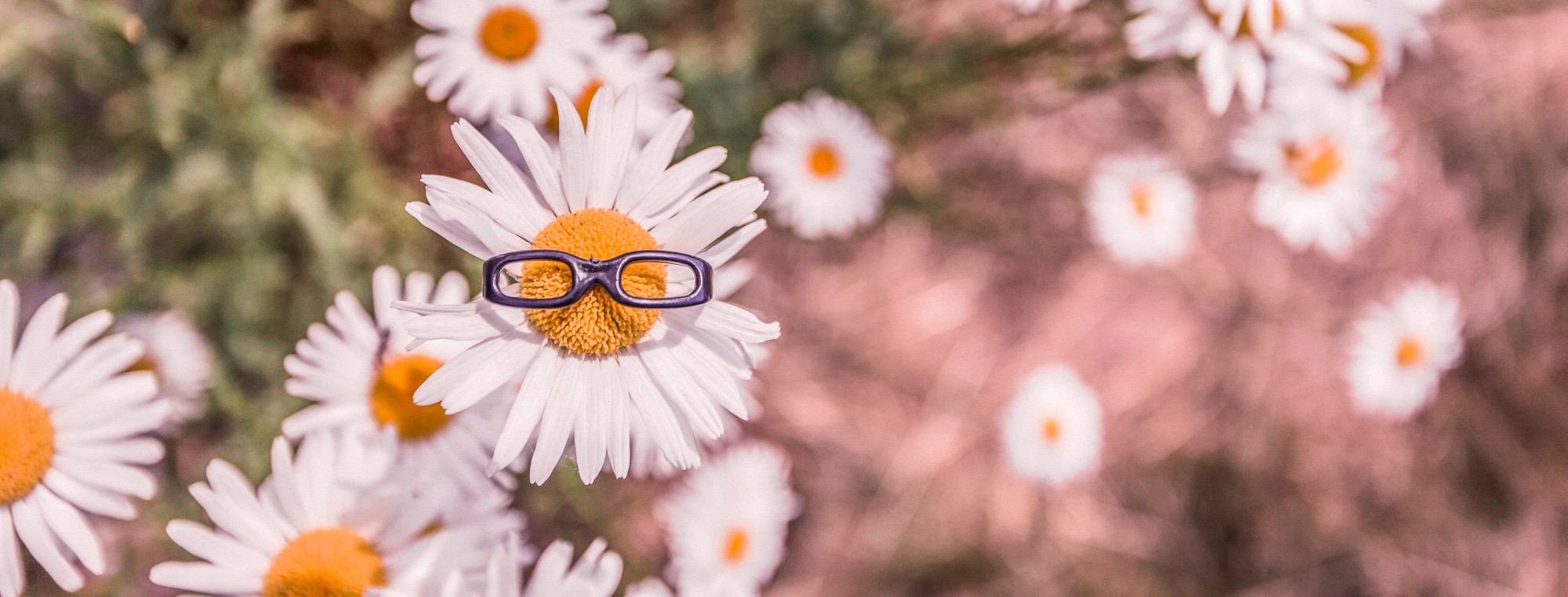 Как создавать эффективный креатив для рекламы