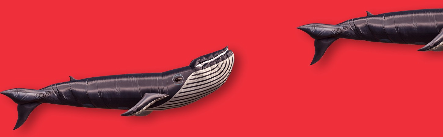 Кто такой Data Scientist — глазами работодателя