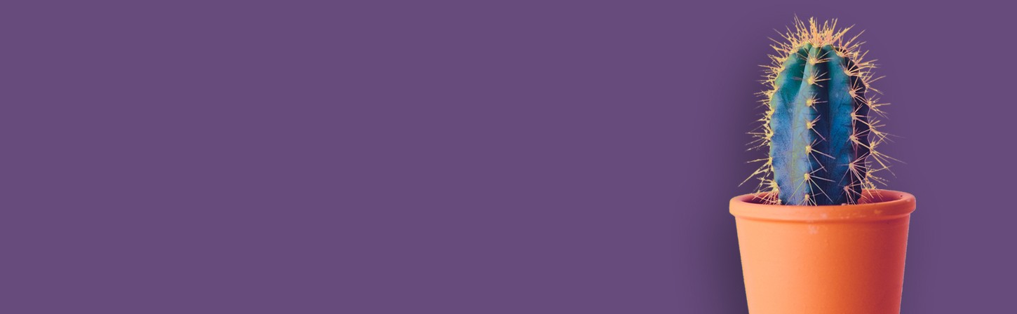 Лучший совет о дизайне, который мне никто не дал