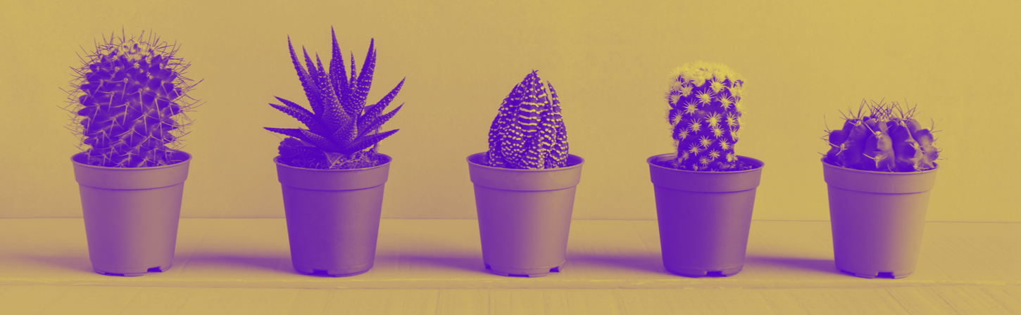 Разбираемся в дизайнерских профессиях