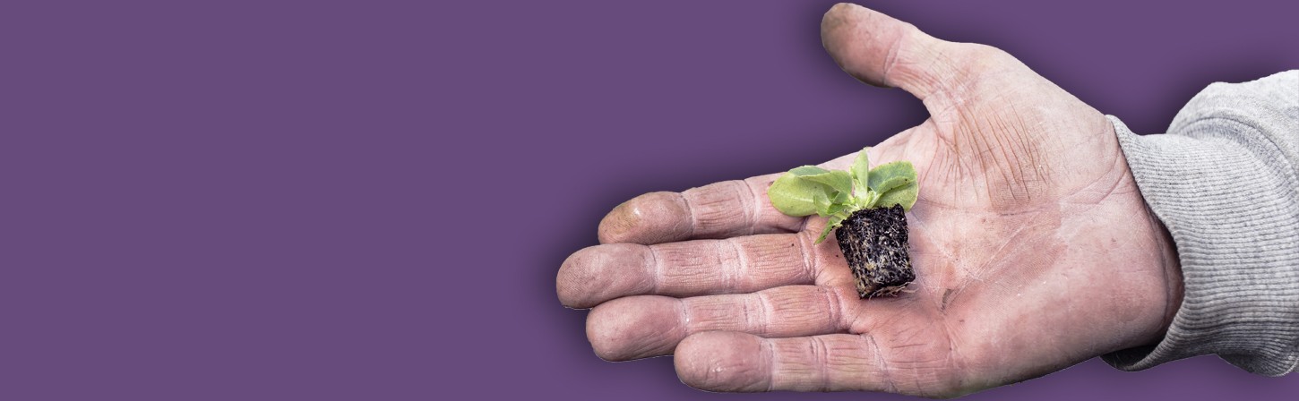 Как получить опыт начинающему дизайнеру