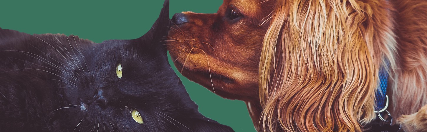 Настройка на любимого клиента: целевой маркетинг в действии