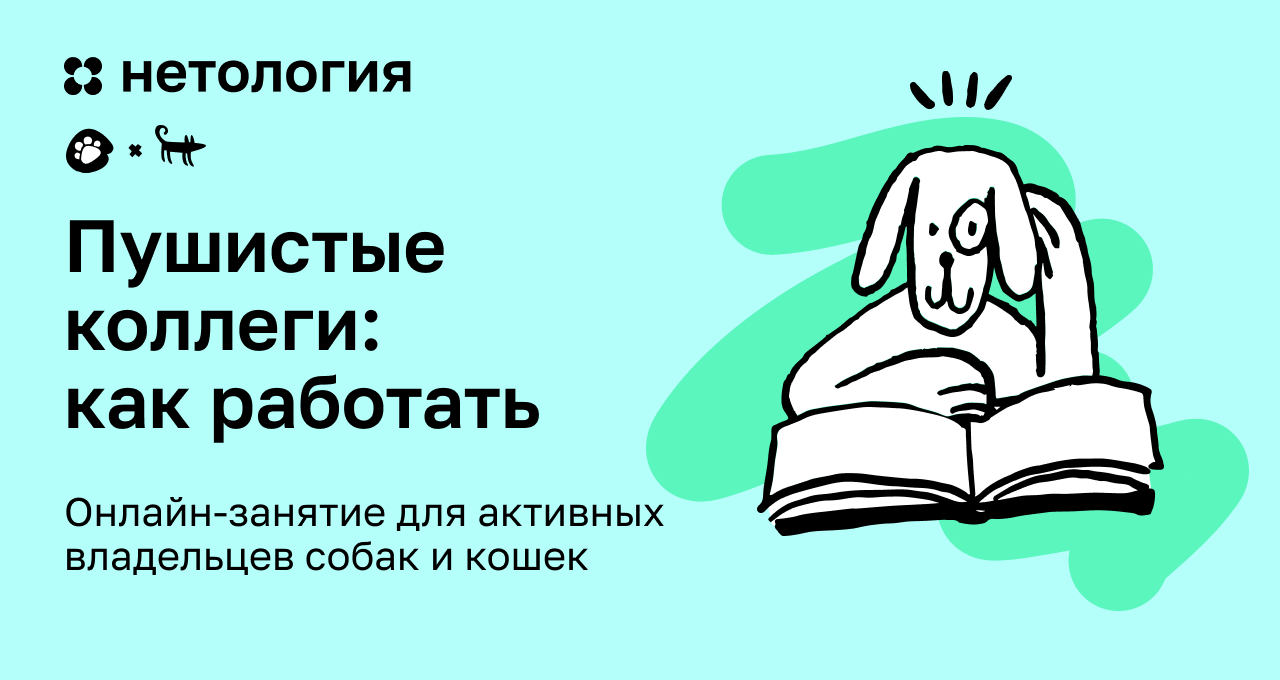 Нетология — обучение современным профессиям онлайн