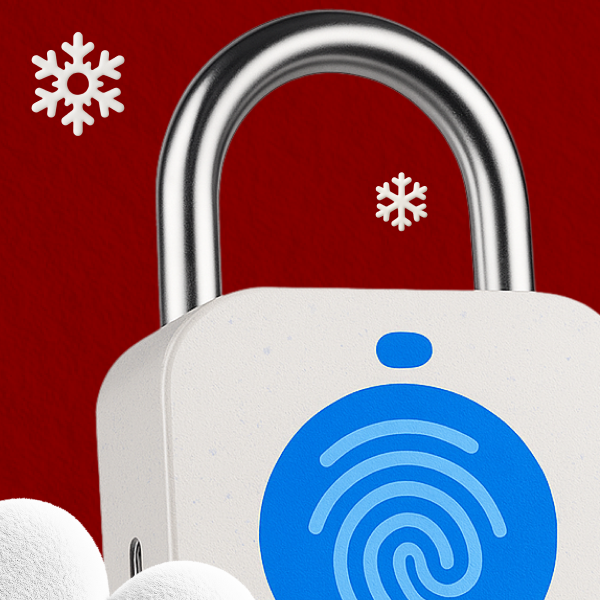 

Специалист по информационной безопасности: расширенный курс